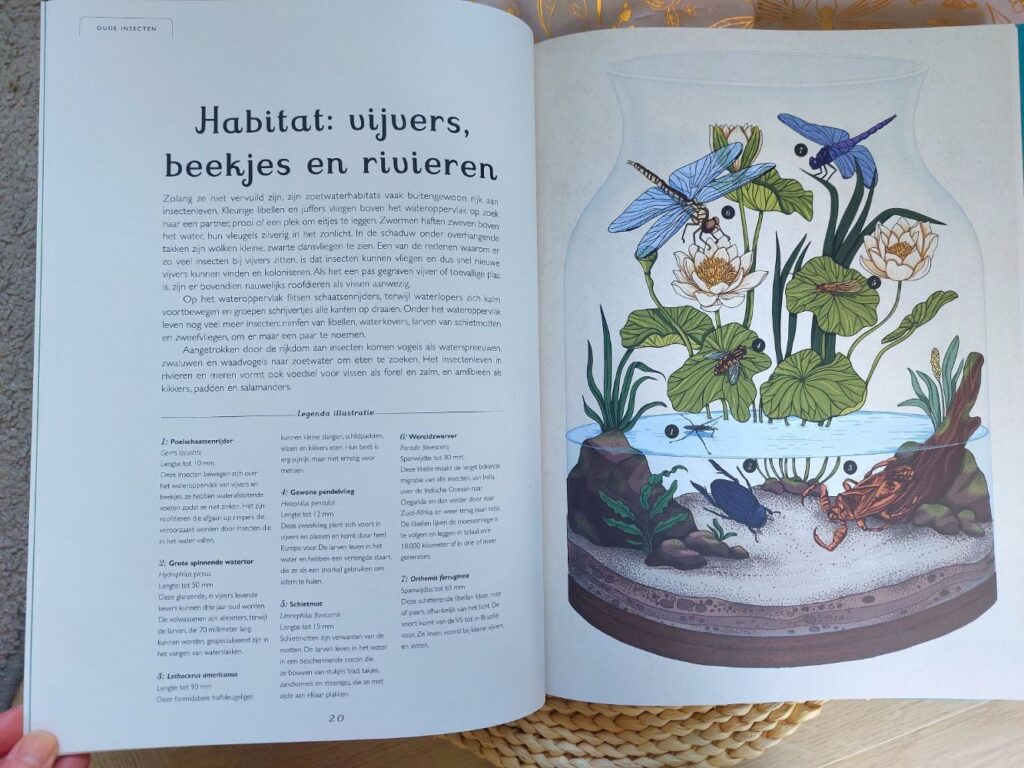 insecten habitat