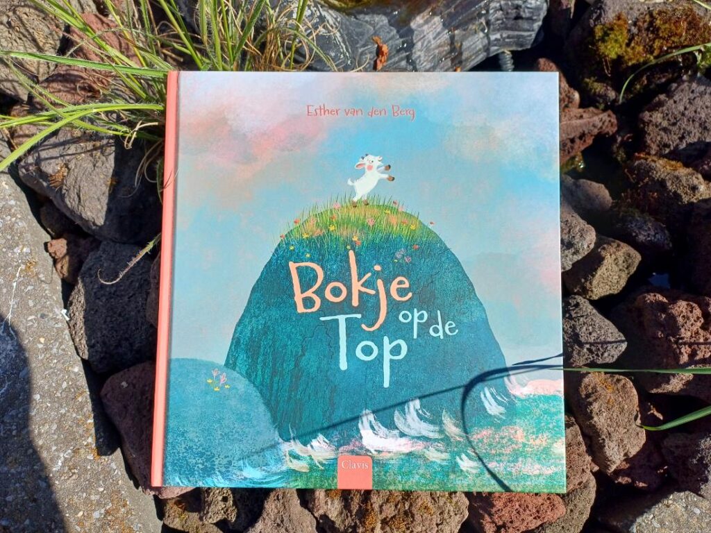 Bokje op de top - voorkant
