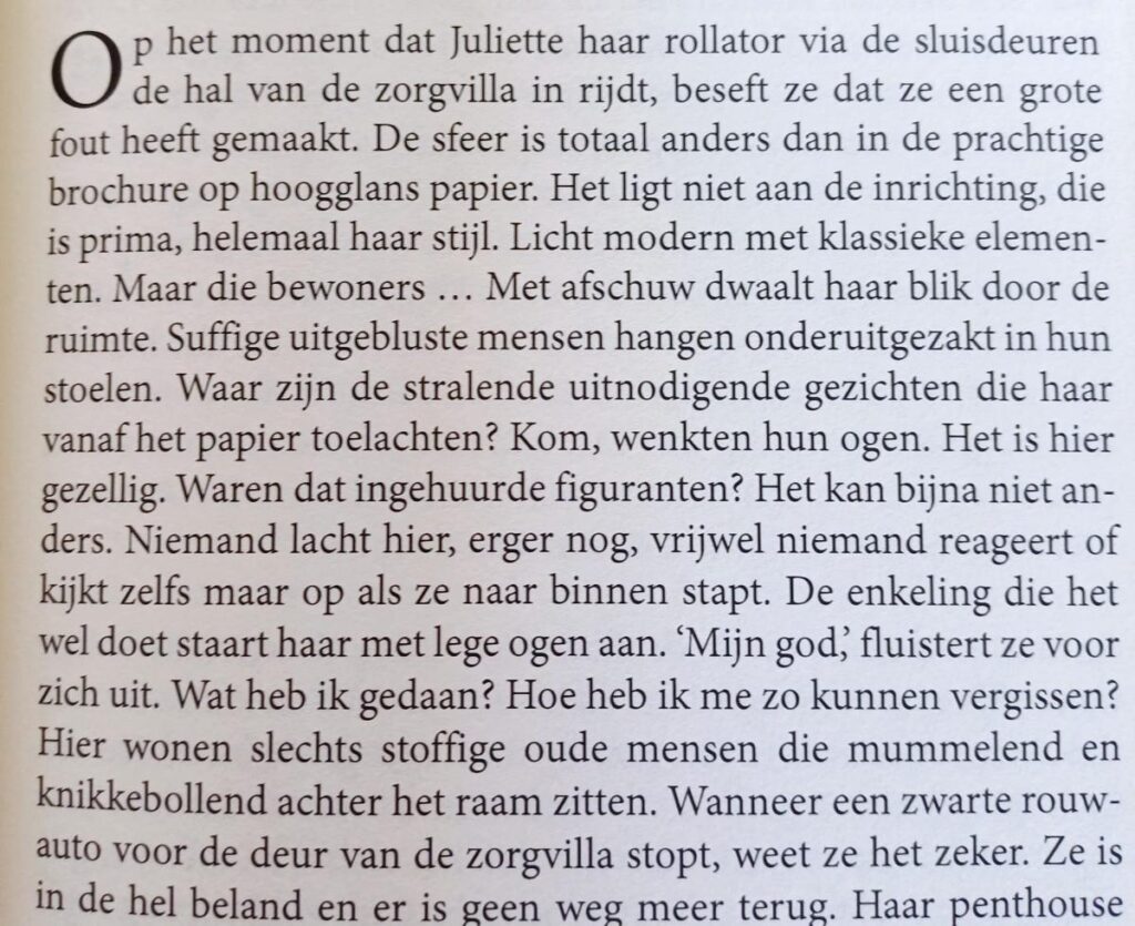 Het huis met het blauwe dak
