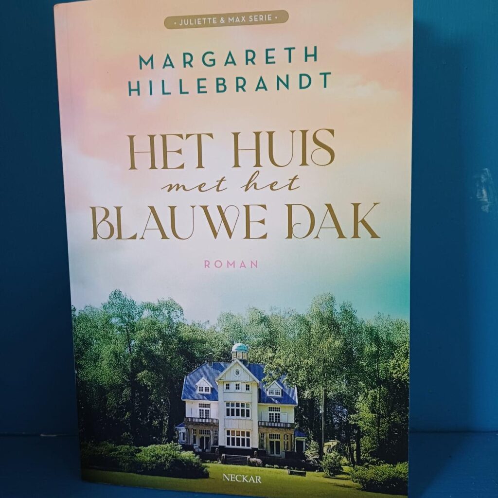 Het huis met het blauwe dak