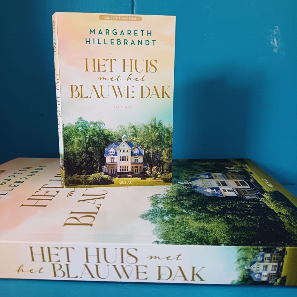 Het huis met het blauwe huis