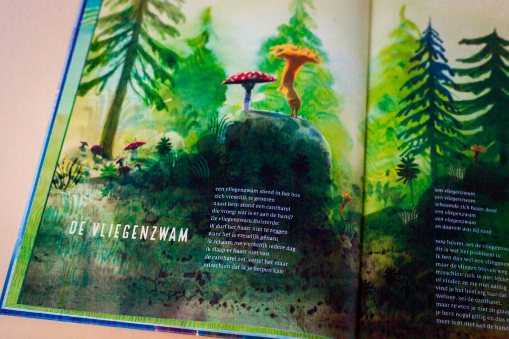 bladspiegel 2/3 VLIEGENZWAM pagina grote illustratie