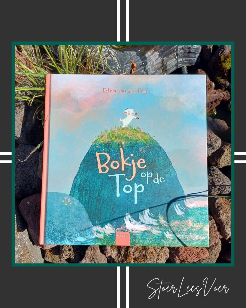 SLV kader Bokje op de top