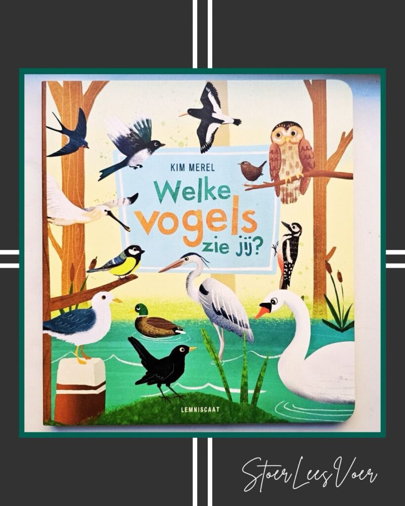 welke vogels zie jij, voorkant cover kaft omslag prentenboek