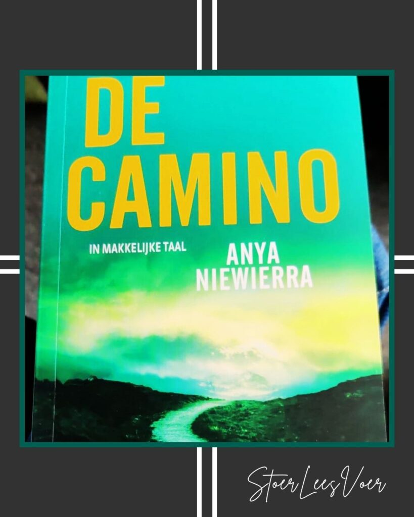 De Camino Leeslicht, makkelijk lezen thriller