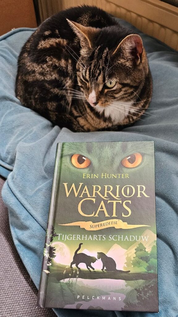 Warrior Cat