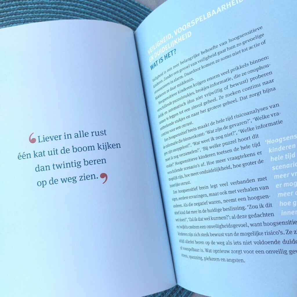 wat echt werkt bij kinderen die hoogsensitief zijn quote