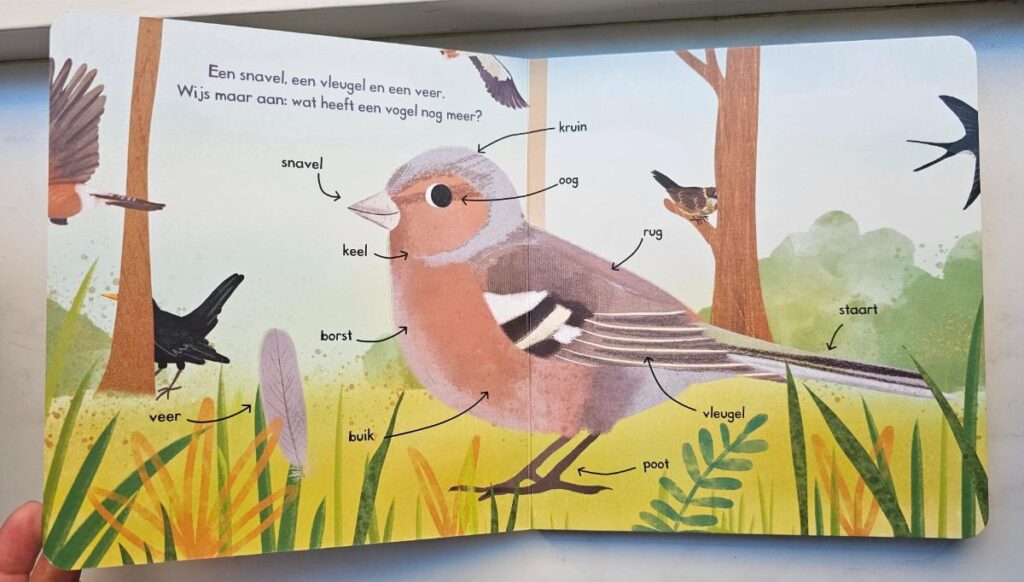 onderdelen vogel