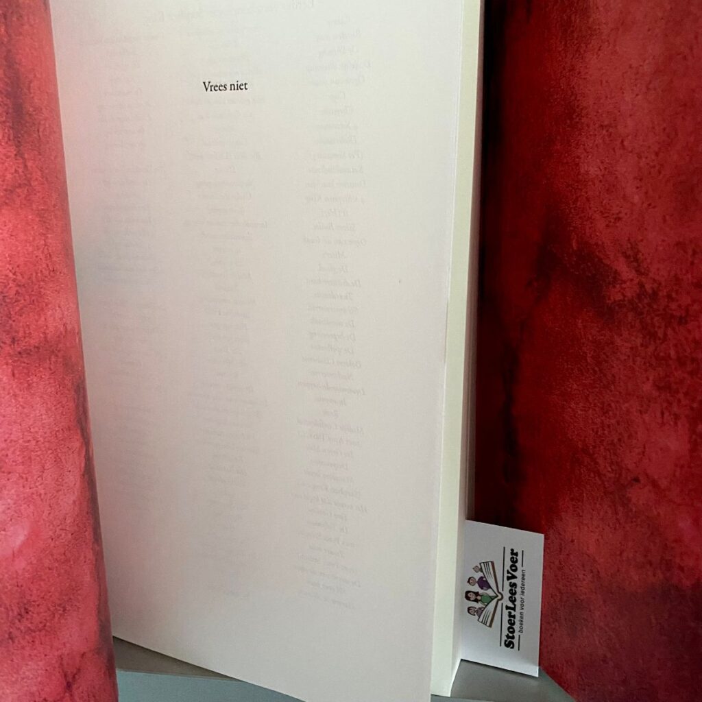 schutblad stephen king thriller holly gibney never flinch