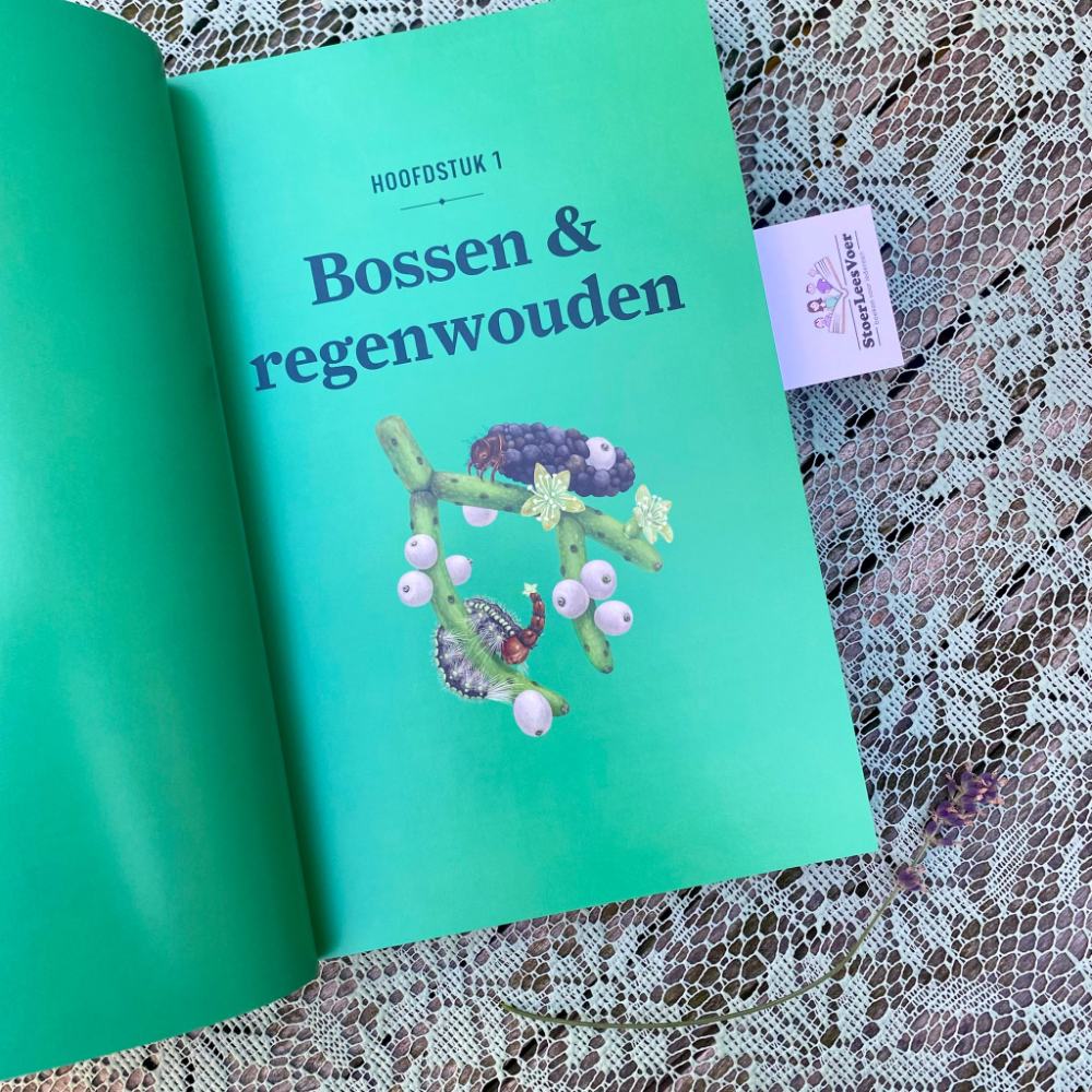 bossen & regenwouden