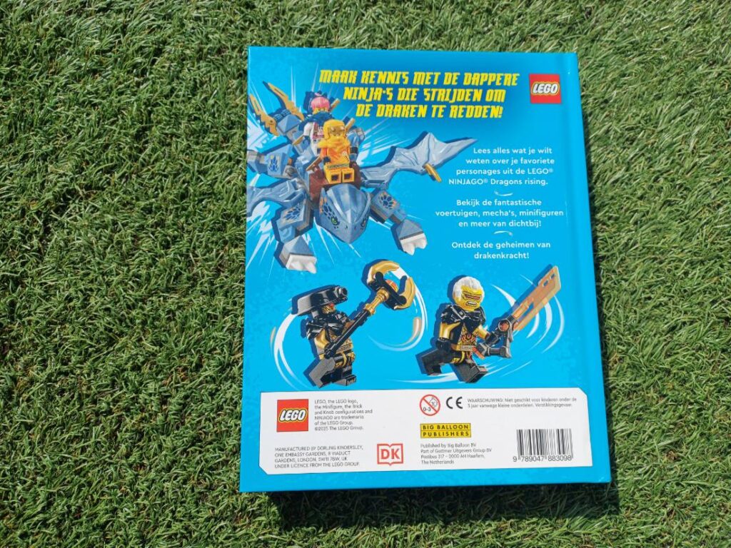 Dragons Rising - achterkant