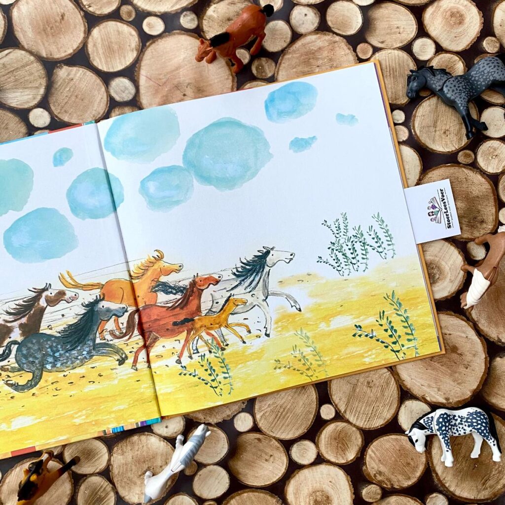 schutblad paardenboek weetjes ik zie ik zie wat jij niet ziet