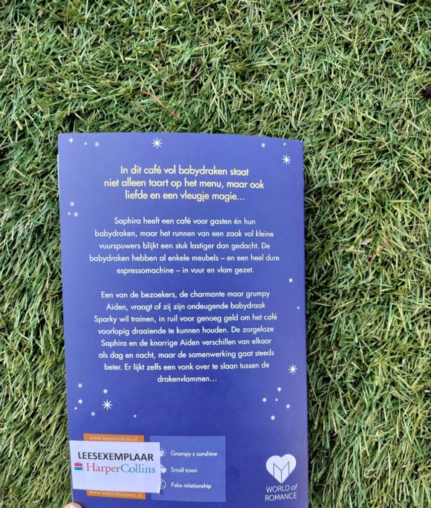 achterflap Het Baby Dragon Café