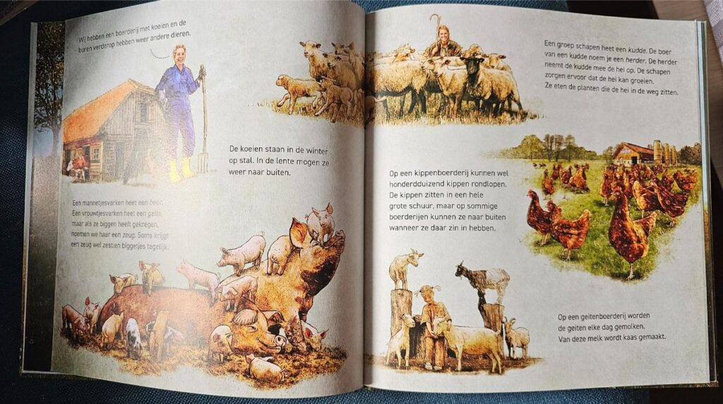 de boerderij willewete clavis