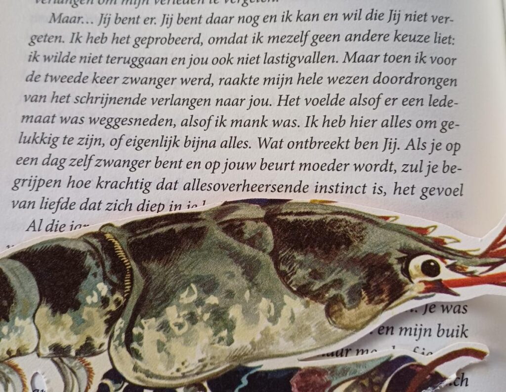 De zachtheid van een kreeft
