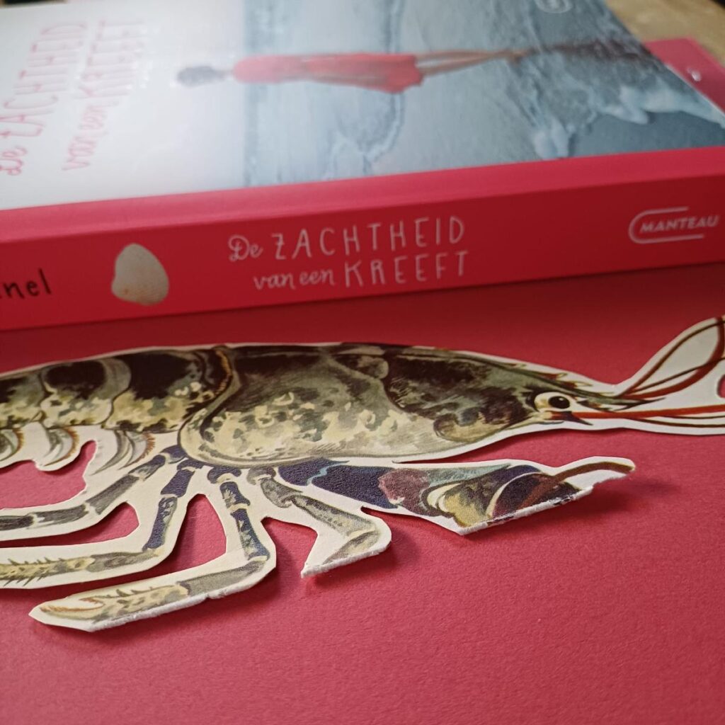 De zachtheid van een kreeft