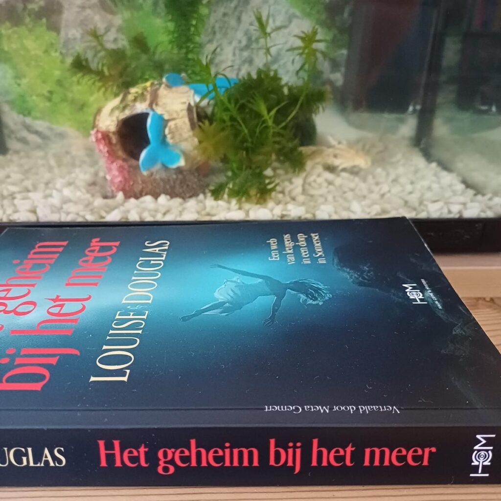 Het geheim bij het meer