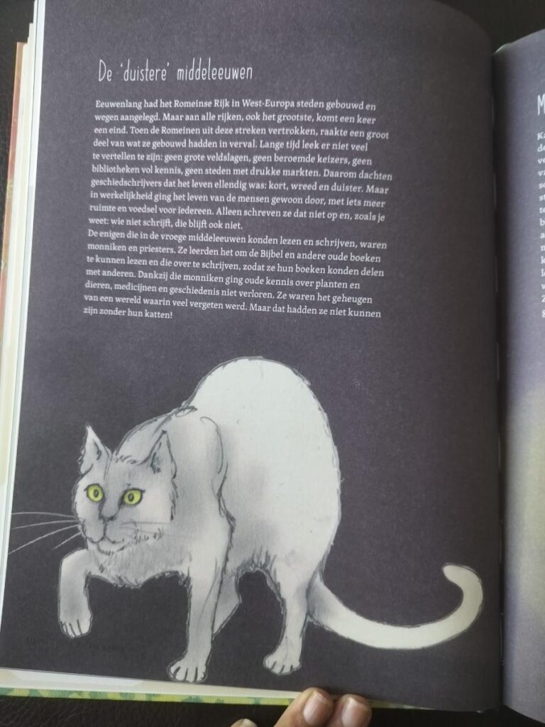 voorbeeld blz De Kat