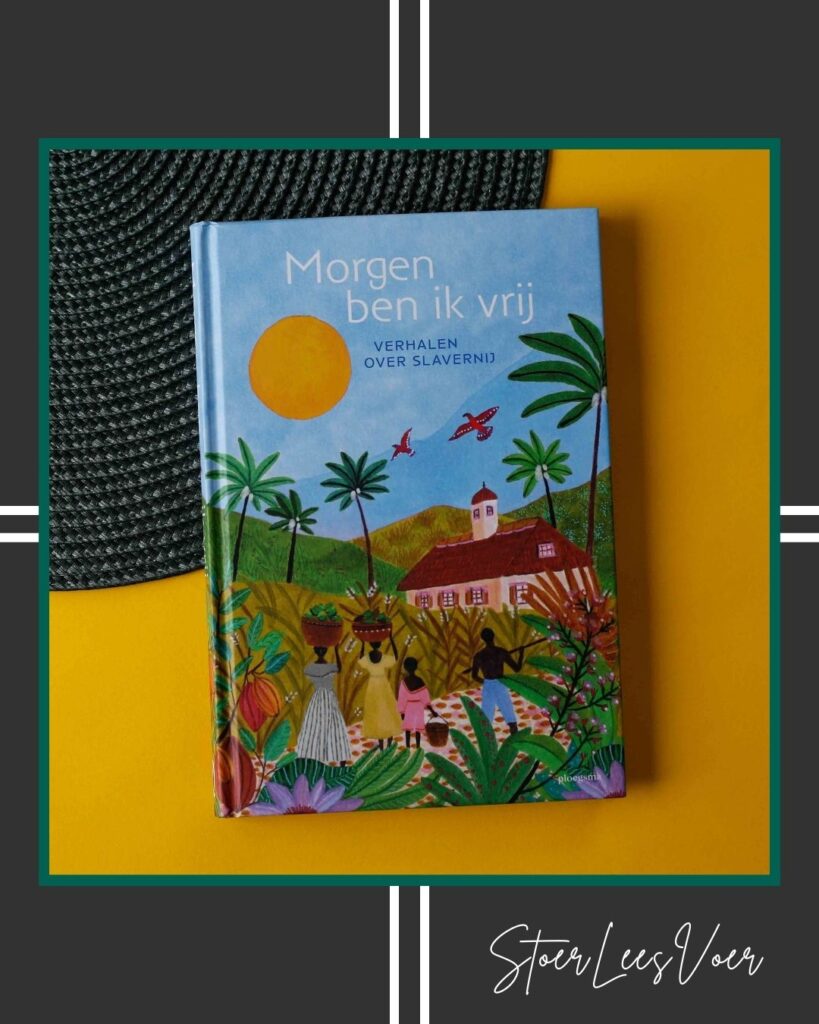 voorkant morgen ben ik vrij met kader StoerLeesVoer