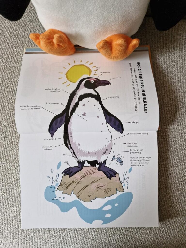 Infographic gemaakt door Kees de Boer