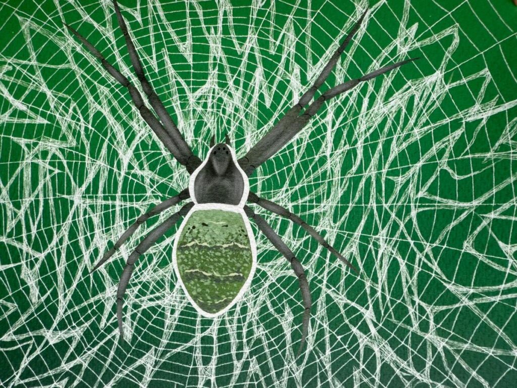 spin in een spinnenweb