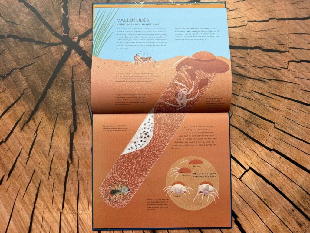 spin die een valkuil maakt De geheime wereld van spinnenwebben