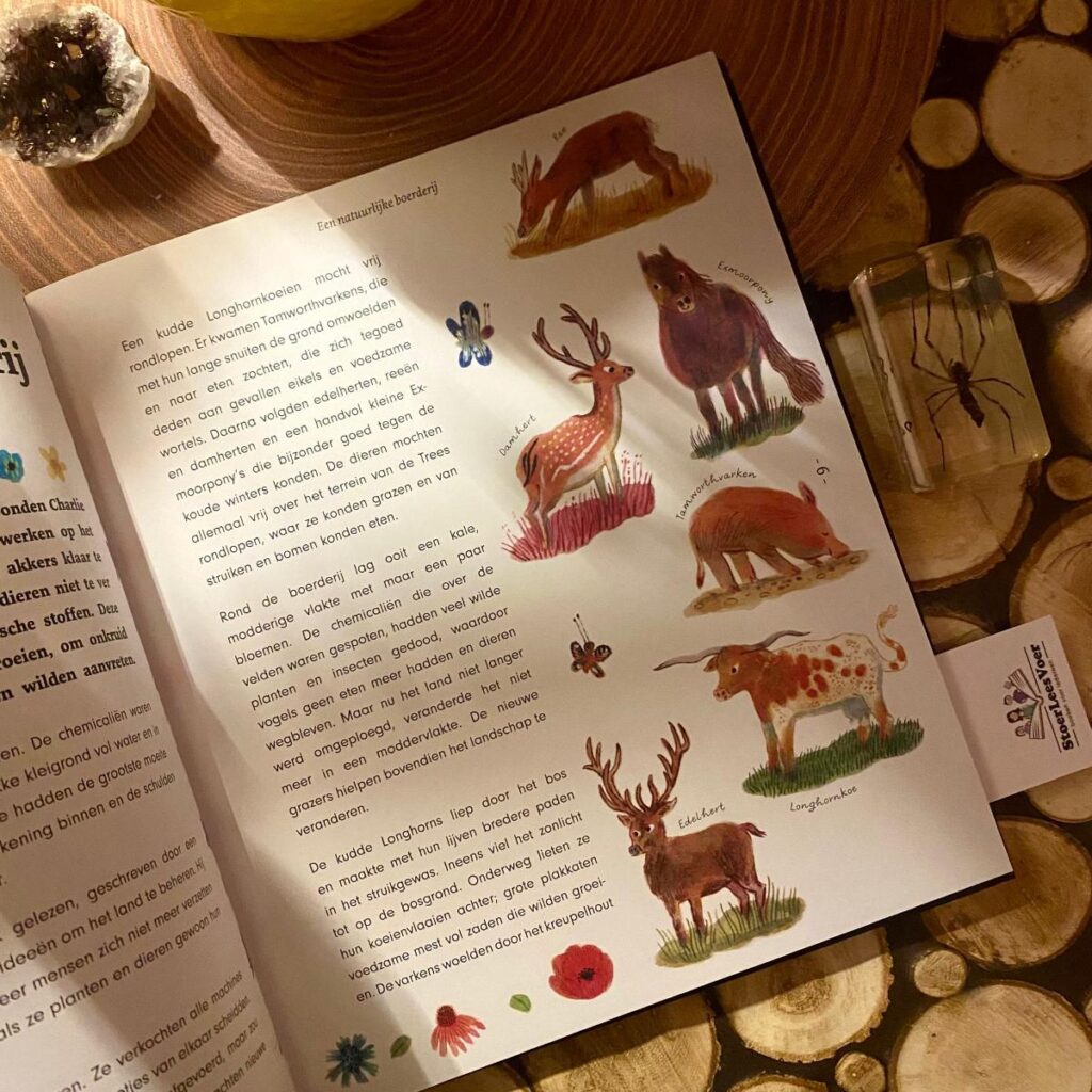 verwilder de wereld tekst