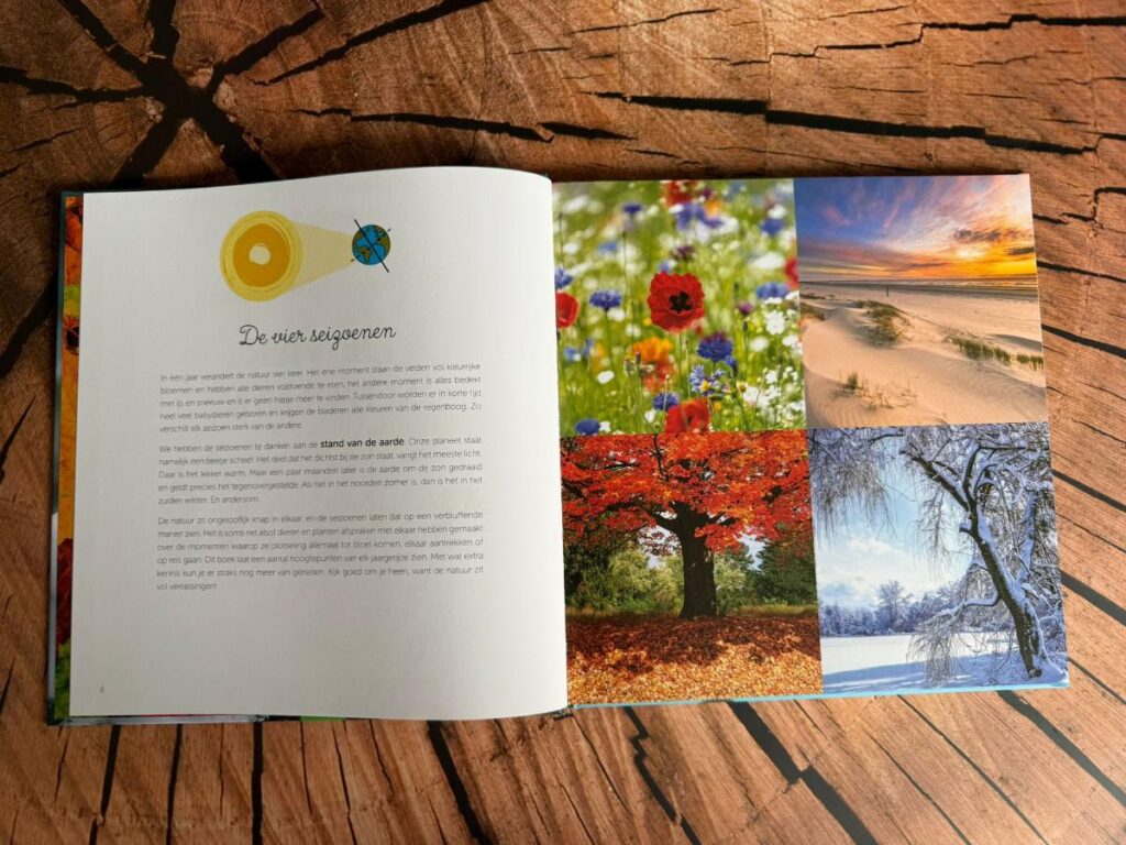 wow de vier seizoenen