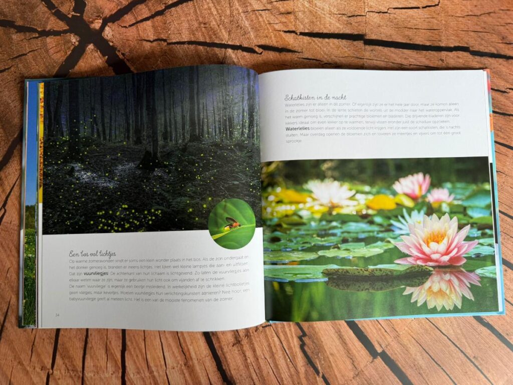 wow de vier seizoenen