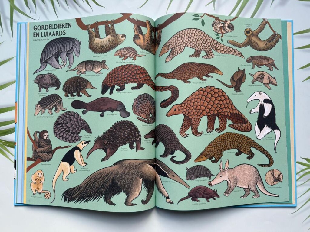 luiaards miereneters