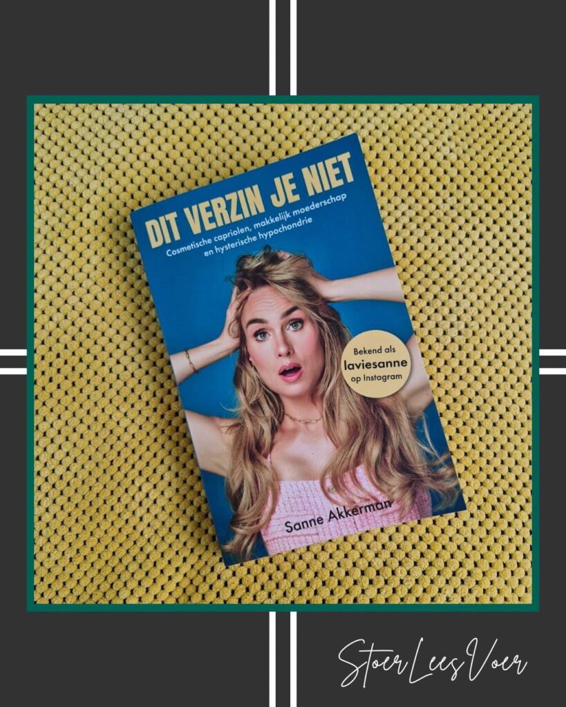 dat verzin je niet laviesanne voorkant cover omslag kaft boek