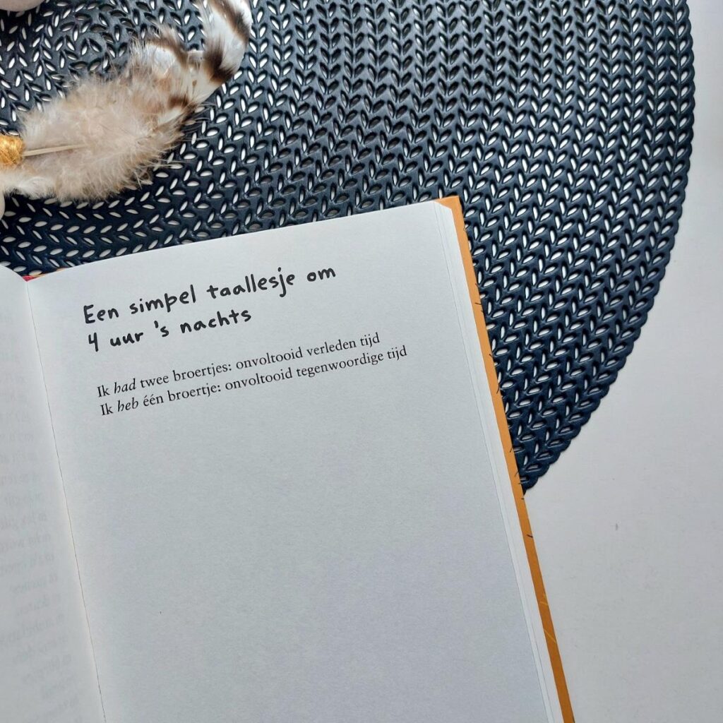 het laatste jaar taallesje