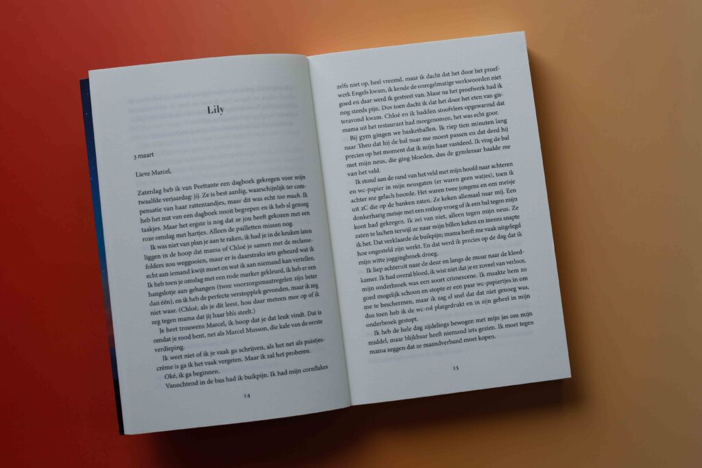 bladspiegel 3/3 dagboekpagina's van Lily