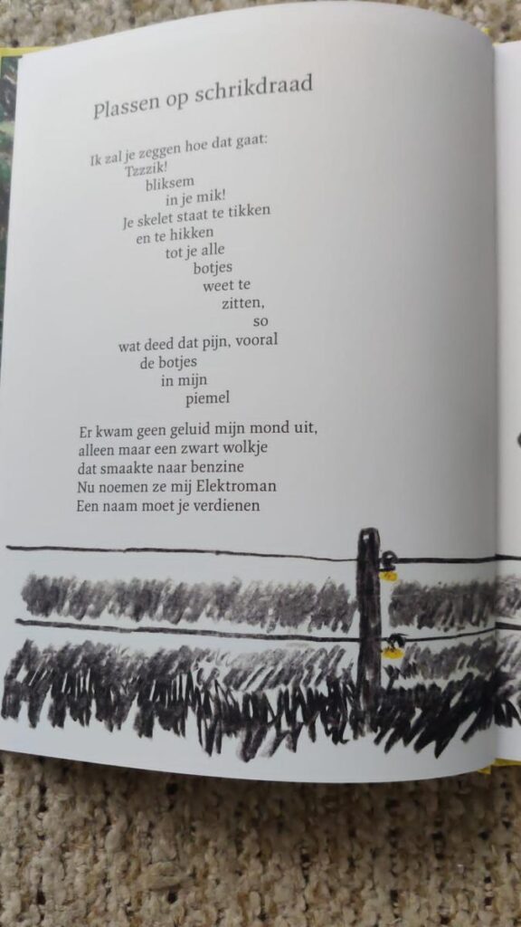 titelgedicht plassen op schrikdraad