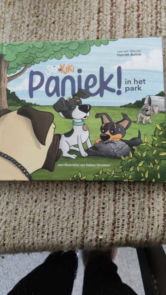 voorkant paniek in het park cover omslag kaft stip yuki