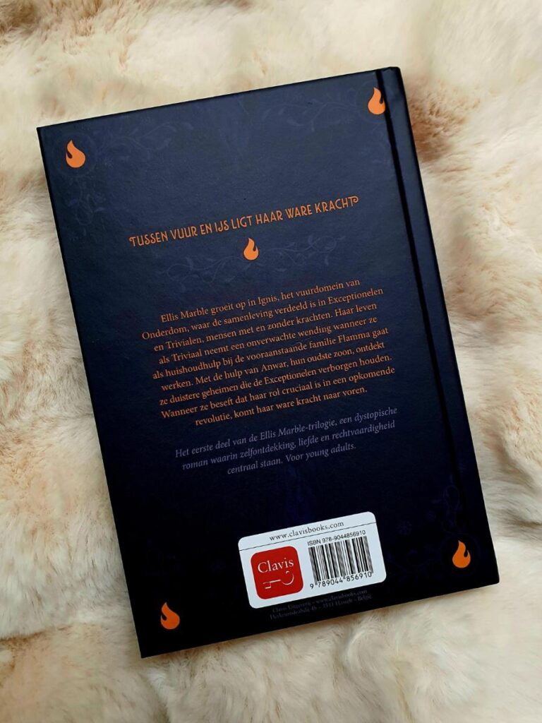 De bevroren vlammenzee