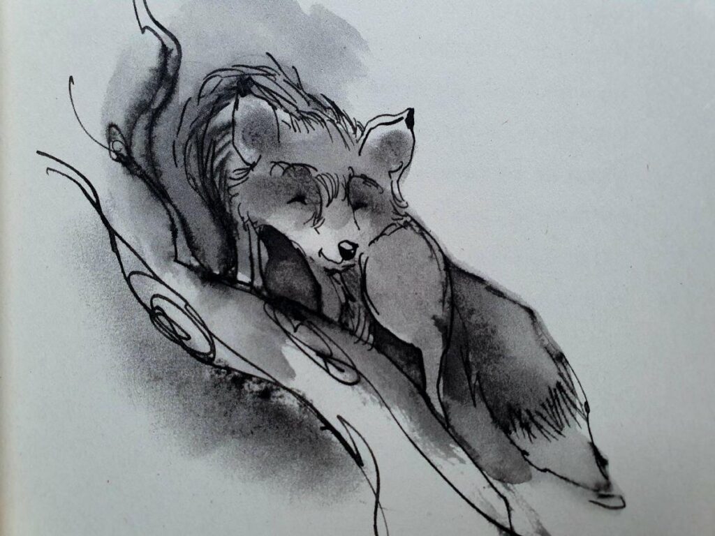 De legende van het noorderlicht