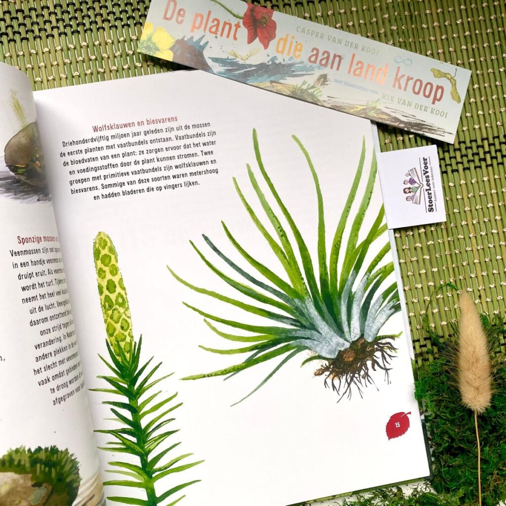 De plant die aan land kroop illustraties tekst