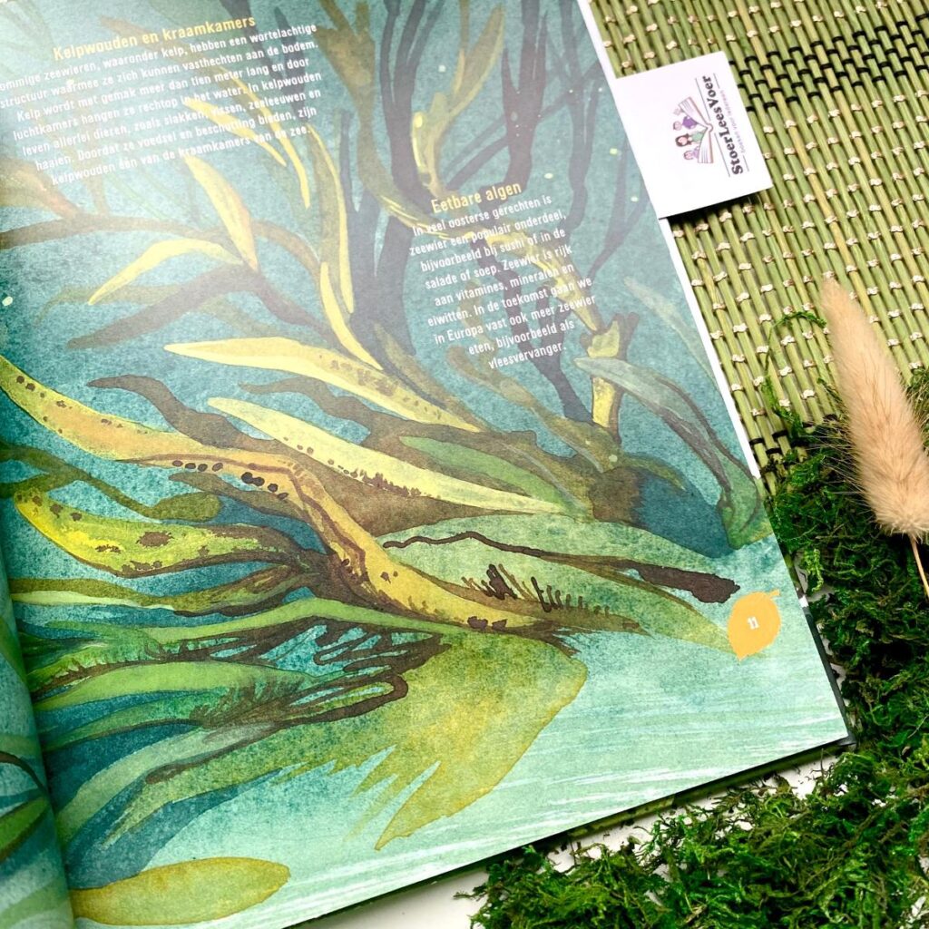 illustratie rik van der kooi