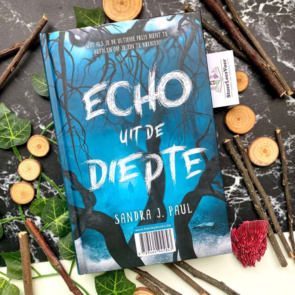 Echo uit de diepte voorkant cover omslag kaft sandra j paul jeugdhorror flipover