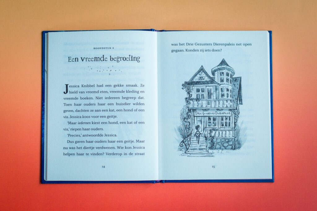 bladspiegel 3v3 tekst en bijna bladvullende illustratie van het huis van de drie zussen p14-15