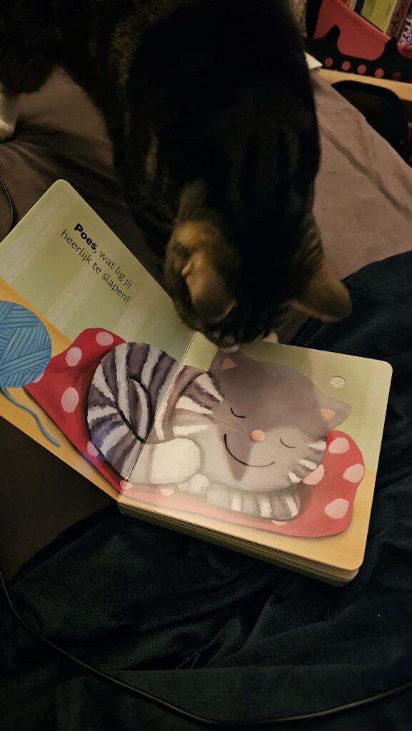 Poes luistert naar poes