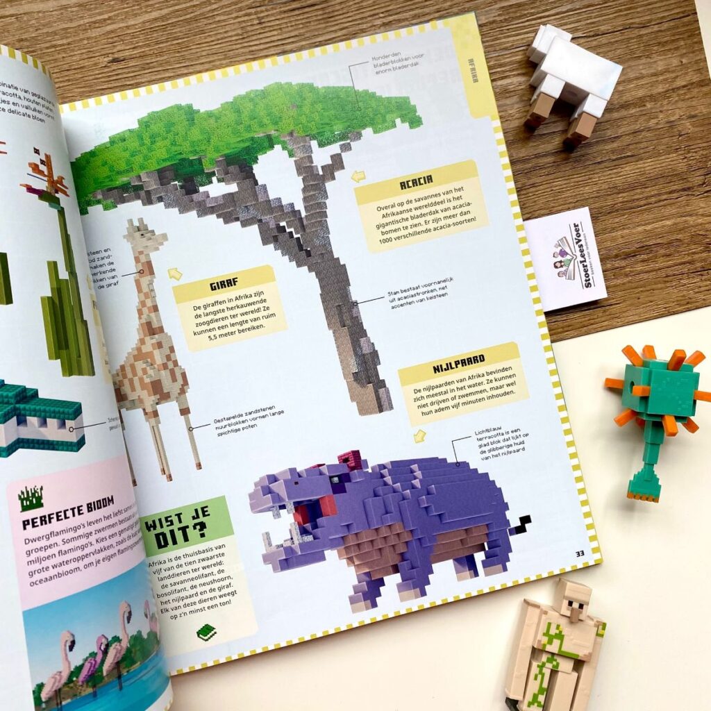 Minecraft Atlas van de wereld