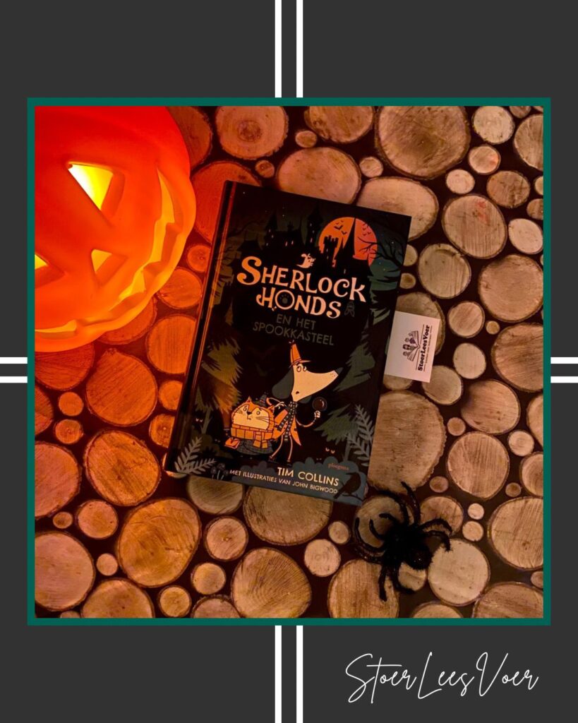 Sherlock Honds en het spookkasteel voorkant cover omslag kaft tim collins