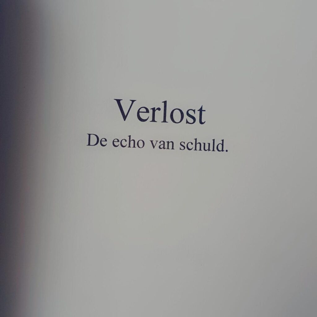 verlost de echo van schuld