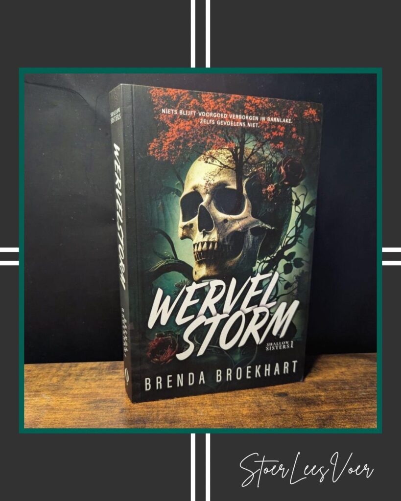 Wervelstorm - Een dark romance van Nederlandse bodem voorkant cover omslag kaft