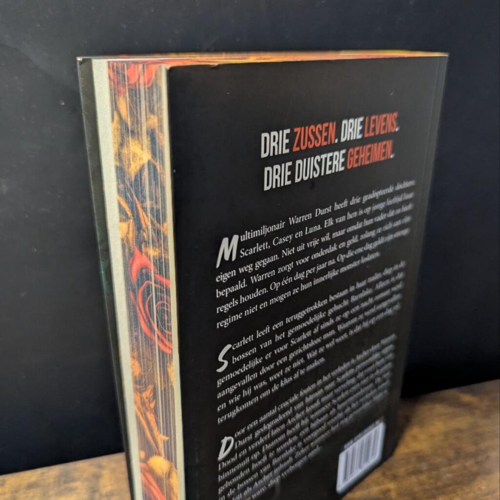 Achterkant Wervelstorm