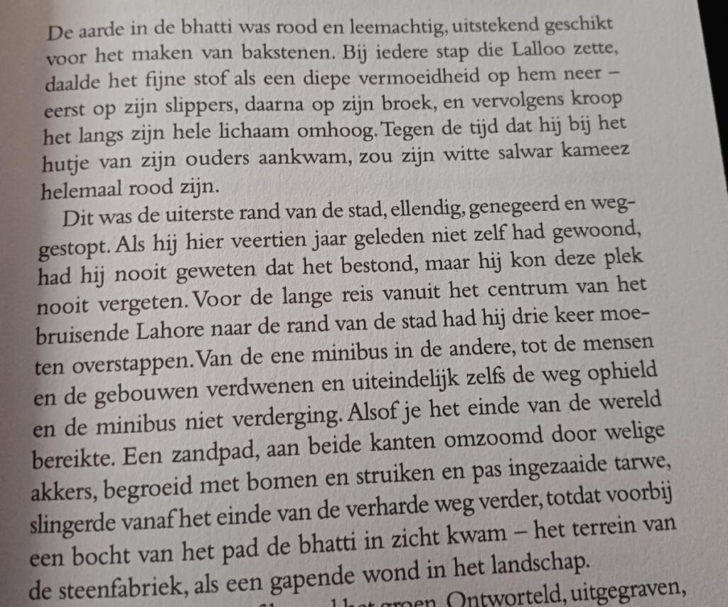 de jongen die de vuurvliegjes volgde