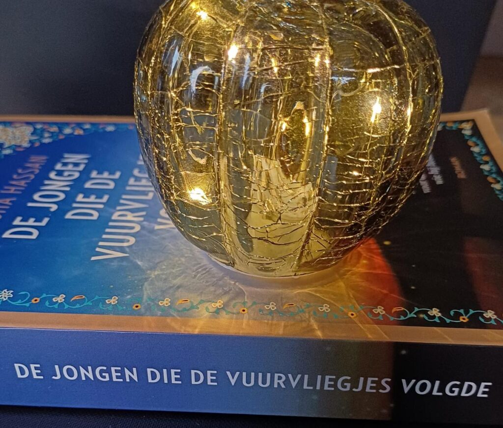 de jongen die de vuurvliegjes volgde