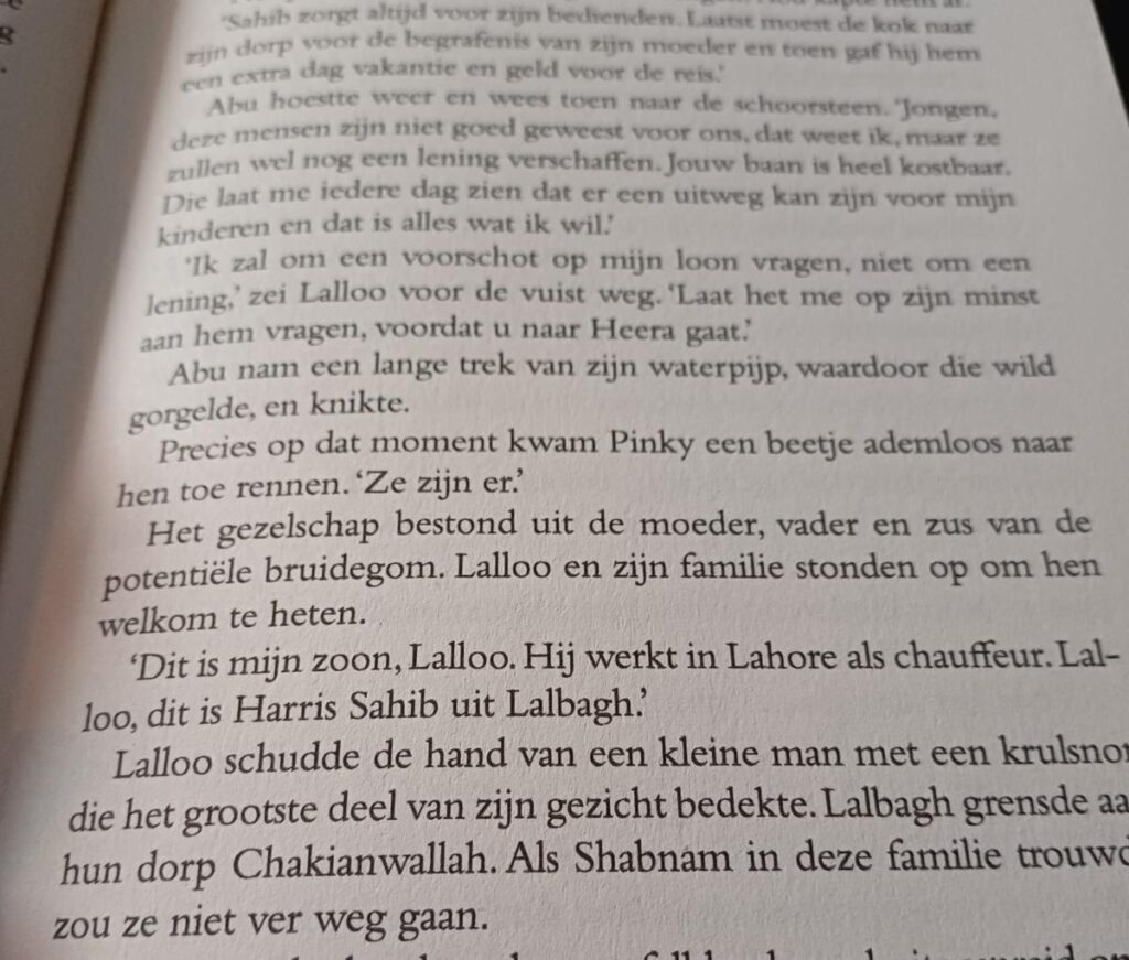 de jongen die de vuurvliegjes volgde